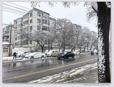 一场大雪【【丙午年-009】】