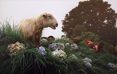 1964【不老松：纪实摄影】平遥影展名家片！都是哪些名家？老朽顾不上纪彔！