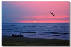 在海边（九）