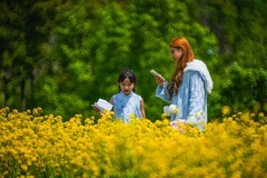 牡 丹 花 开 贵 人 来 （ 三 ）