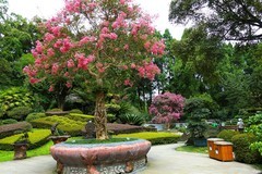 走进清溪园景点