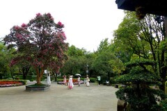 走进清溪园景点