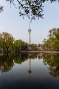 【镜头里】第1736号：大美京城随手拍（九）