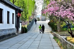 【视觉光影】随 拍 （13）