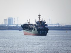 秋雨过后空气新