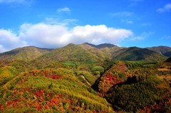 行车途中随拍（6）