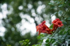 周边摄影拾零（七）