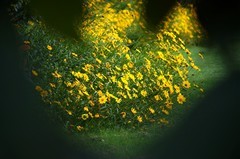 周边摄影拾零（七）