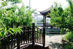 乡村小景4