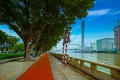 广州珠江两岸风景 21