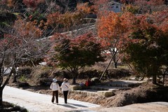 松下 S5首拍，湖南南山县枫叶谷（—）