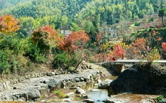 松下 S5首拍，湖南南山县枫叶谷（—）