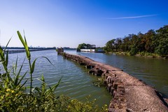 外出随拍（558）.