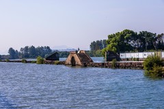 外出随拍（558）.