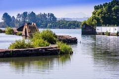 外出随拍（558）.