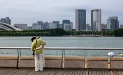 庐州印象（682）