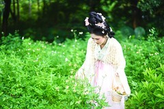【幽丛撷秀·漫揽韶华】---半鹿