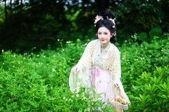 【幽丛撷秀·漫揽韶华】---半鹿