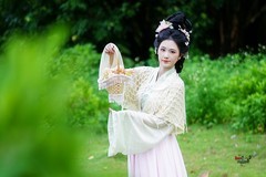 【幽丛撷秀·漫揽韶华】---半鹿