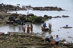 青岛西海岸--海边速写--续