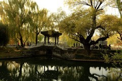 紫竹院秋韵之三（完）