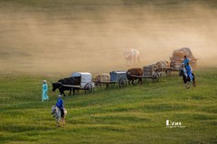 牧人迁徙（42）