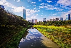 深圳中心公园 掠影