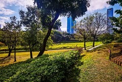 深圳中心公园 掠影