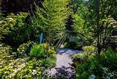 深圳仙湖植物园 掠影