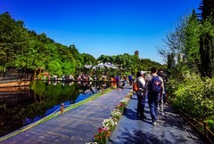 深圳仙湖植物园 掠影