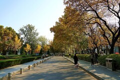 北京语言大学秋景——校园篇