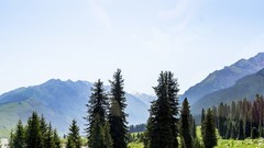 伊犁昭苏夏塔（3）