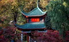 霜叶红于二月花