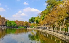 [26164] 麓湖公园随拍