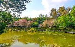 [26164] 麓湖公园随拍