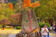 张家界风景4