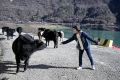 天母湖掠影