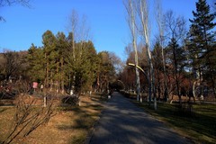 冬日北山公园（3）