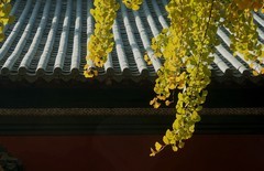 武昌长春观三（完）