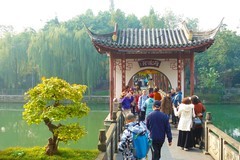 唐代银杏根深叶茂