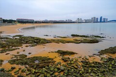 2026年第0163贴-威海金海湾栈桥旅拍（0303）