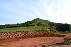 田园风景