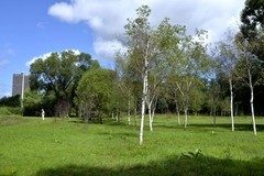 江滨公园——江心岛（4）