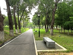 多云夏午1*沙湖公园——武汉随笔