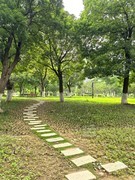 多云夏午1*沙湖公园——武汉随笔