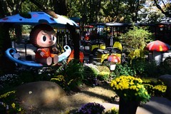 这里的冬天如此美丽