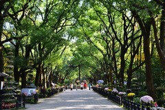 这里的冬天如此美丽