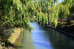 这里的冬天如此美丽