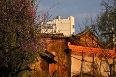 2026小城的春（拾陆）