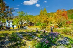 黄山塔川风景 2